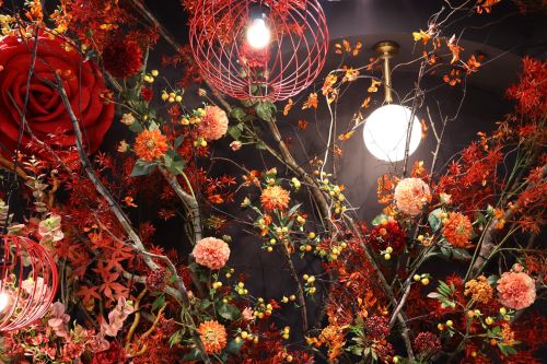 Angel Coffee - Đà Nẵng