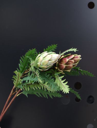 Cành Atiso Xanh Vàng