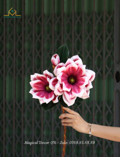 Cành Mộc Lan Hồng 