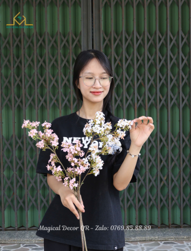 Cành hoa Tiểu Tú Cầu