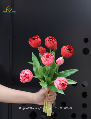 Bó Hoa Tulip Hồng