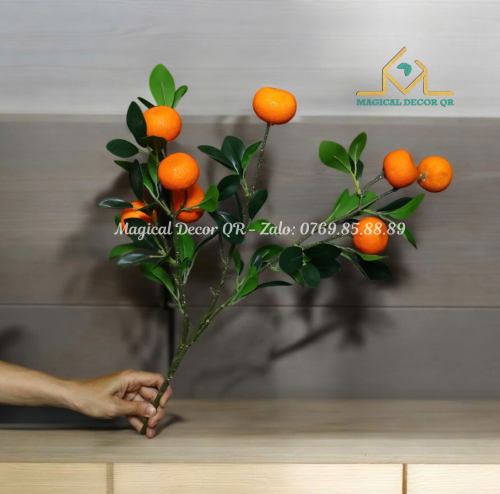 Cành Quýt Thái