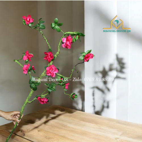 Hoa Đỗ Quyên Hồng