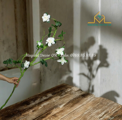 Hoa Đỗ Quyên Trắng