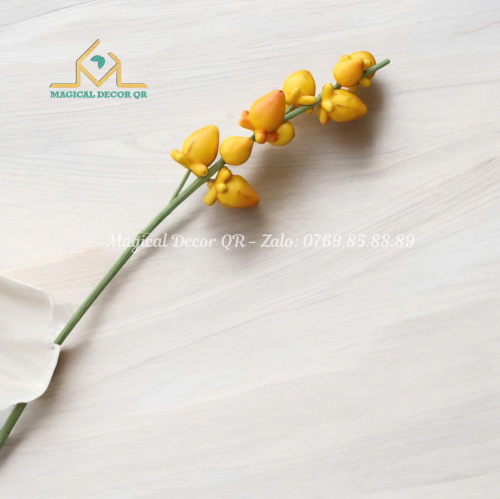 Cành Trái Dư - vàng