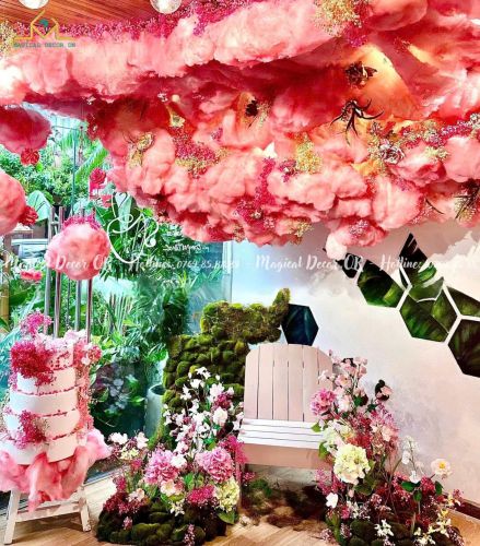 Hải  An - Đà Nẵng ( Mây hồng)