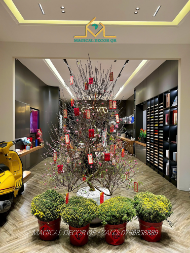 Decor Tết Công Ty Gemscon - Đà Nẵng 