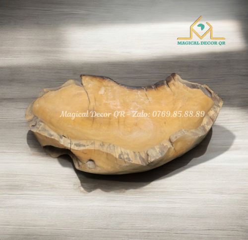 Khay gỗ lũa mẫu 5