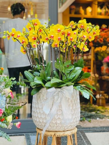 Hoa nghệ thuật mã 62