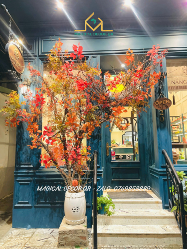 Nắng ngọt ( Mùa Thu ) - Đà Nẵng