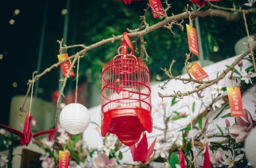 Hải  An - Đà Nẵng (Mùa Tết)